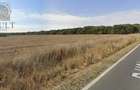 Teren agricol de 9378 mp, în Gruiu - 1
