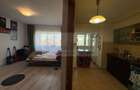 Apartament 1 camera decomandat, Bd. Independentei 350 euro - 9