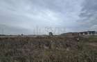Teren intravilan de 10000 mp, în Rahova - 2