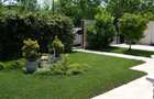 Corbeanca Park | Casa cu curte si loc de promenada | circuit privat | langa padure - 1