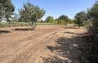 Vand teren Ciofliceni Snagov - 2