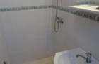 Apartament cu 2 camere semidecomandat în Iosefin - 13