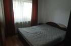 Apartament cu 2 camere decomandat în Scriitorilor - 3