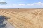 Teren Construcții de 40000 mp, în Central - 2