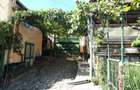 Casa cu sura de vanzare - 2