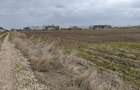 Teren Construcții intravilan de 521 mp, în Vidra - 3