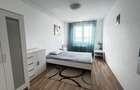 Apartament cu 2 camere decomandat în Dristor - 3