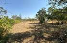 CASA cu Teren de 1.381 mp in cartierul Episcopia Bihor - 12