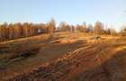 Teren de 2000 mp, în Bulz - 1