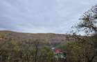 Vand teren intravilan construibil Valea Prahovei - 9