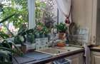 Apartament cu 3 camere semidecomandat în Dristor - 6