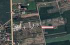 Teren Construcții intravilan de 5444 mp, în Săftica - 1