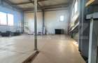 Spațiu industrial, de 350 mp, în Moșnița Nouă - 1