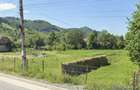 Teren intravilan 3.274 mp in Poiana Ilvei parau la limita, utilitati, acces DJ 172D - 2