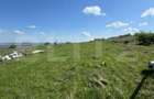 Cabana CHEILE TURZII, teren 8700 mp, priveliste superba - 7