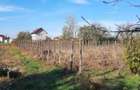 Teren de 1500 mp, în Vânători - 1