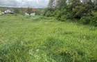 Teren Colonia Valea Fanatelor - 2