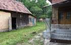 Casă individuală cu 3 camere cu Teren 2913 Mp în Măhăceni - 3 Casă individuală cu 3 camere cu Teren 2913 Mp în Măhăceni - 3