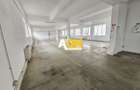 Spatiu industrial pentru productie sau depozitare, 1600 mp, Sebes - 11