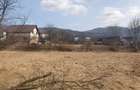Teren Viseu de Sus Simion Barnutiu(zona Peny) - 3