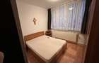 Apartament cu 2 camere semidecomandat în Noua - 1