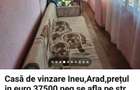Se vinde casa in Ineu - 2