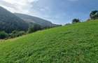 Teren intravilan de 2300 mp, în Măguri-Răcătău - 5