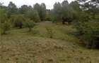 Teren de 16800 mp, în Central - 2