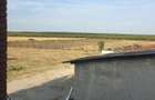 FERMA DE VANZARE!! 49ha, Olt, Bals - 8