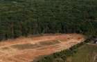 LOT DE VANZARE cu deschidere la padurea Snagov - 2