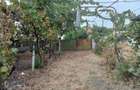 Vand casa in Com, Ostroveni, jud Dolj - 4