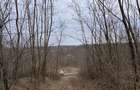 Teren intravilan + padure Loc. Albota, Jud. Arges - 3
