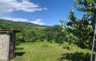 Casa de vanzare cu livada, fanta, 98 mp, Str. Principala - C - 2