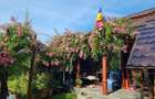 Vand cabana din lemn in zona de vis - 2