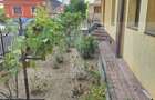 Casa de vanzare Cotu Mic - 4
