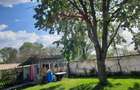 Casa langa Fagaras cu teren de 1836mp si parau in spatele curtii - 4