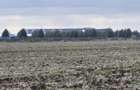 Teren vecinatate Therme,34500 euro - 2