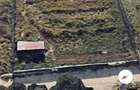!!! Foarte urgent!!! Vand teren Vidin 1000 mp sau lotizat(500mp - 500mp) - 4