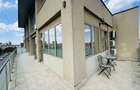 Penthouse de inchiriat, zona buna, terasa mare, mobilat si utilat - 8