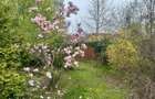 Vila in Barnova 260 mp utili, teren 1030 mp D+P+E+M, complet mobilata - 1