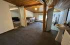 Spatiu Comercial - Antiaeriana - Alexandriei - 9