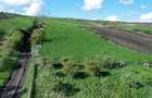 Teren Valea Fanatelor(3600mp), 20euro_mp, CLUJ - 2