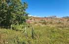 Teren de vanzare in zona Borhanci - Colonia Sopor