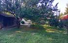 casa cu 4 locuri de parcare ghermanesti (snagov) - 10