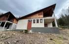 Vanzare casa de vacanta - Valea de Pesti - 2
