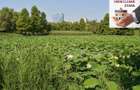 Aleea Circului Stefan cel Mare Apartament 3 camere, 60mp. Et. 4 4 - 3