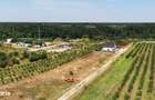 Branesti Pasarea:Lot 728 mp D= 36m. Lac si Padure|Conectivitate A2/A0