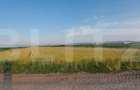 Teren arabil 9.000 mp in Moac?a investi?ie intr-o zona agricola cu potential - 1