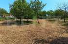 Casa cu 2 camere, 250 mp, zona sud-est - 5