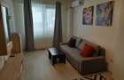 Vanzare Apartament 2 camere Tineretului-Parc Carol - 4